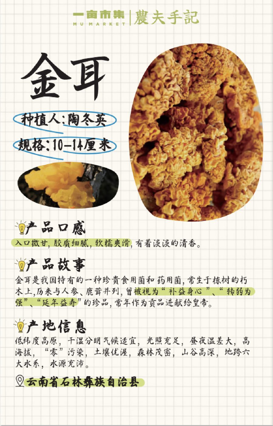 农夫手记 作品 5